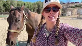 Cowgirl Chronicles: Working horses in a heat wave
