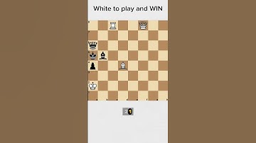 Did you see the checkmate in 2? #chess #shorts