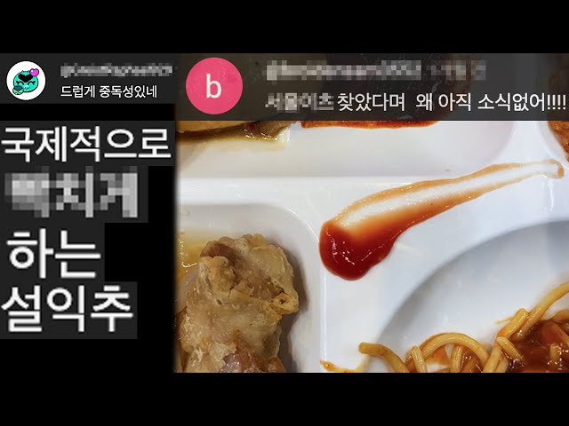 신나게 식판에 소스만 그어 버리기 - 5일차 #플레이팅 #adress