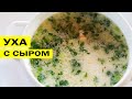 Уха с сыром. Вкуснее чем со сливками.Fish soup.