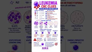 Leukemia CBC Clues