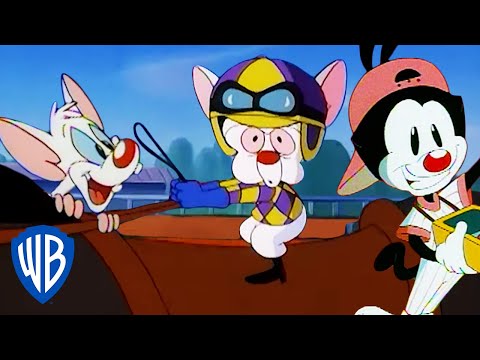 Animaniacs | Pinky and the Brain Take Over the Derby | Classic