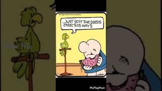 Ziggy comic  #cartoon #ziggy #cartoonvideo #stayoptimistic
