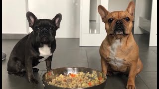 What are my Frenchies eating? / Recipe No.1