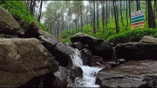 Beat Stress Within 5 Minutes to Deep Sleep with Relaxing River Sounds | LuLu Sounds