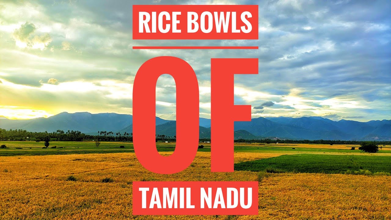 Paddy Fields of Tamil Nadu நெல் விளையும் பூமி Rice Bowls Of India