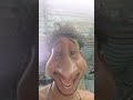 🫣🫣🔥❤️🔥🥰funny short video#shortsfeed