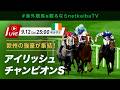 【LIVE】アイリッシュチャンピオンステークス2026 アイテムら欧州の強豪が集結!/#海外競馬を観るならnetkeibaTV