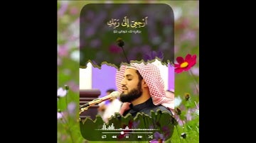 رعد الكردي - سورة الفجر ( تەفسیرا بادینی )