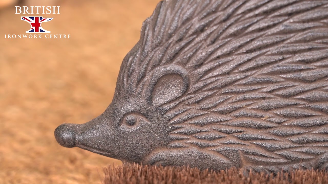 hedgehog boot brush replacement