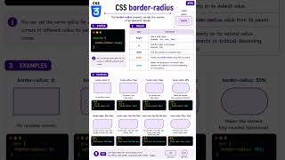 CSS Border Radius Property Explained 🔥 #shorts #css #borderradius #html #frontend #cssshorts
