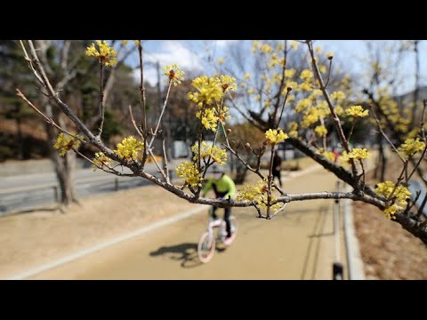 초여름 더위 '대구 30도' 먼지ㆍ오존 주의 / 연합뉴스TV (YonhapnewsTV)