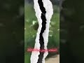 عيسى لابوندا 16 