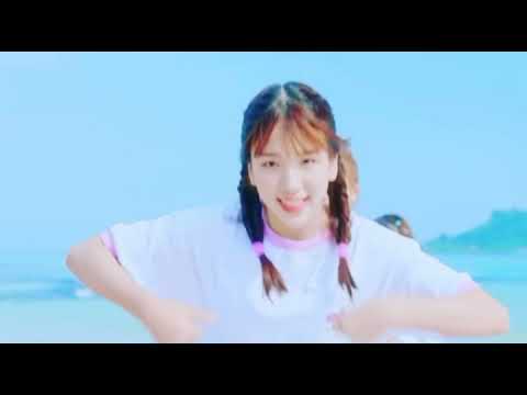 비타민(ビタミン) 신곡(新曲)