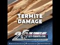Termite Damage VS DryRot