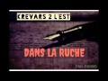 Dans la ruche  krevars de lest prod ongatif