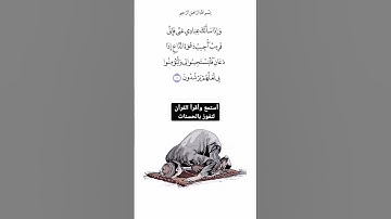 سورة: البقرة الآية /186/القارئ: فارس عباد