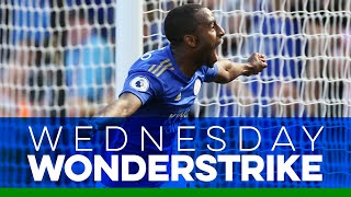 PIMCAvjD-LQ Video Image