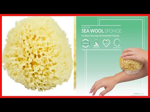 Neptune Natural Sea Wool Sponge - All Natural Honeycomb Renewable Sea Sponge, Large