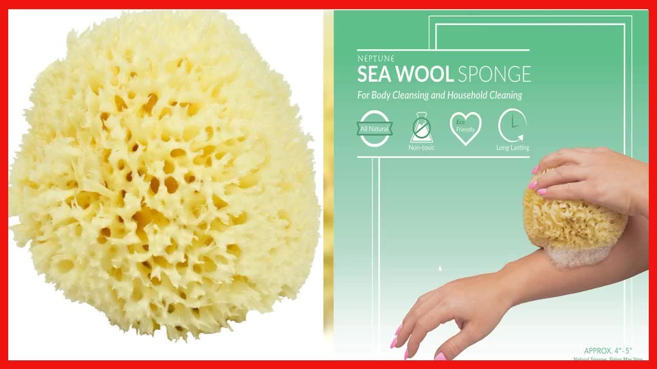 Neptune Natural Sea Wool Sponge - All Natural Honeycomb Renewable Sea Sponge, Large
