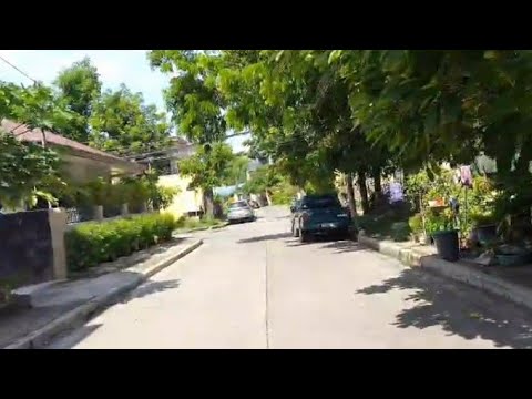 travel at residential street lined with potted plants🌵#music live#saturday night