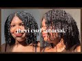 I GAVE MYSELF A JHERI CURL | Luster’s S Curl & Pink Lotion on Type 4 Natural Hair - Milan Alicia