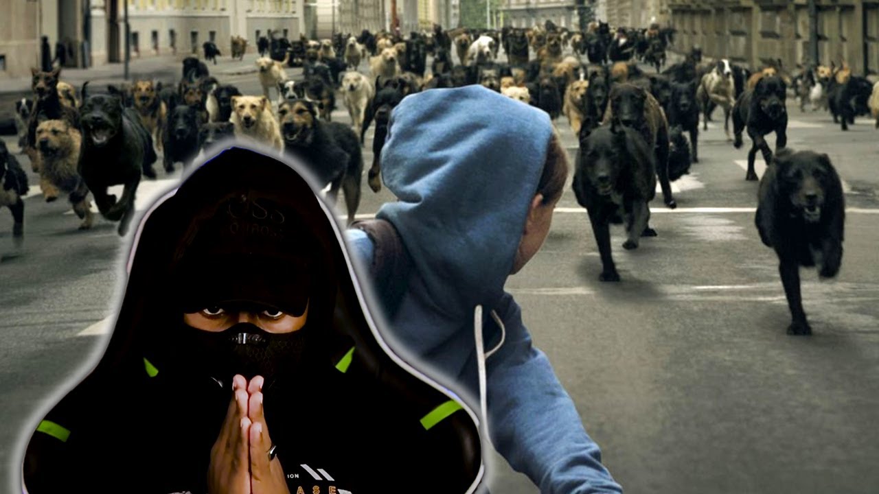 Ey Badan oo magaaladii soo galay dadkana laynaya iyo sabab cajiib ah