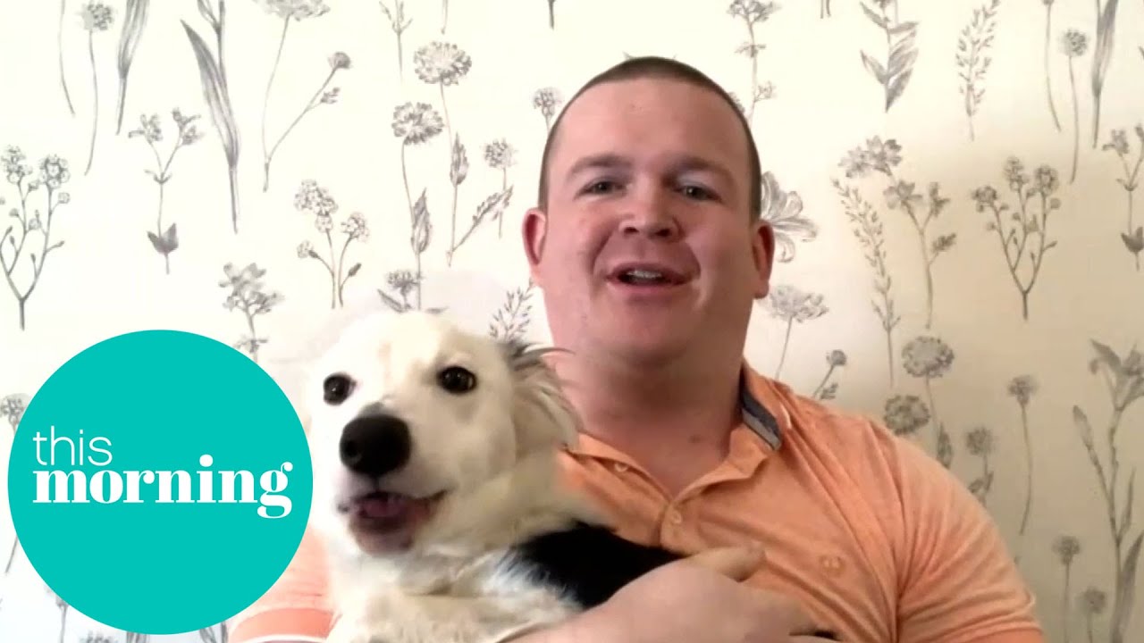 Top Tips to Prevent Dog Thieves From Stealing Your Pup! | This Morning