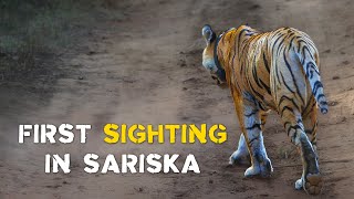 Sariska Tiger Reserve Safari with Eagle Safaris  4K Video