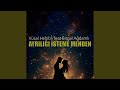 Ayrılığı İsteme Menden Feat Birgül Ağdamlı