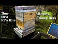 Swapping old hive boxes with new propola bee boxes replacing old comb with new foundation