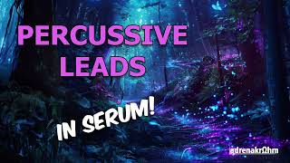 Percussive Leads in Serum