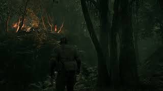 The Environments Of MGSΔ