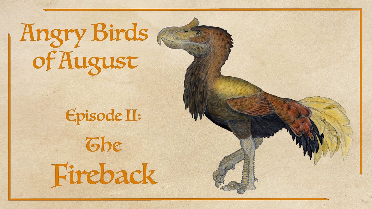Angry Birds of August Episode II: The Fireback - YouTube