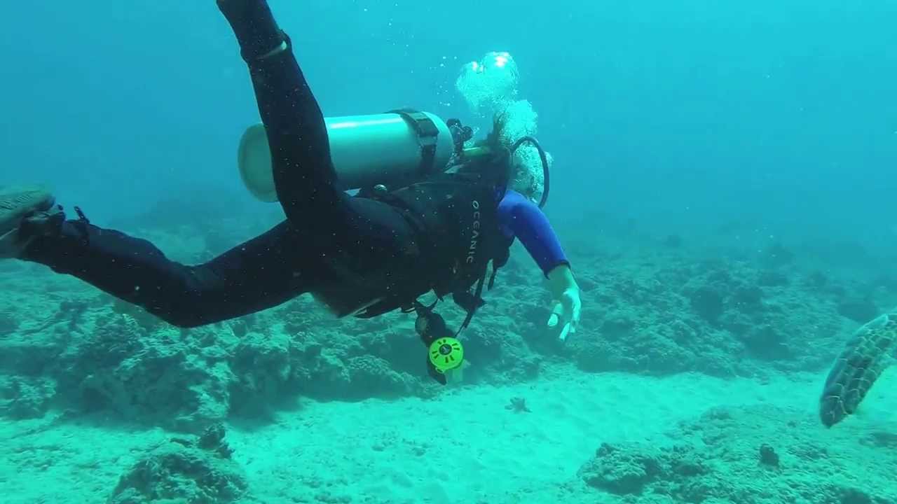 SCUBA DIVING WAIKIKI - by Hawaii Eco Divers & Surf Adventures