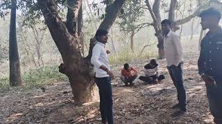 Download Lagu RANU BOMBAI KI RANU FULL SONG |RAMU RATHOD | LIKHITHA | KALYANKEYS |PRABHARATHOD TUNES MP3