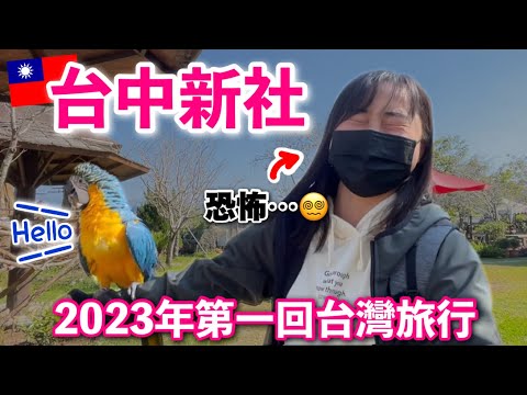 我又來台中了！初次到新社吃喝玩得如何？🍄新社ってどんな所？