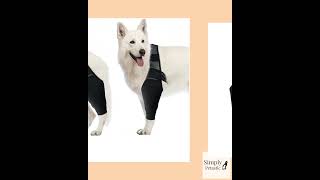 Pet Dog Knee Brace for Joint Pain Relief