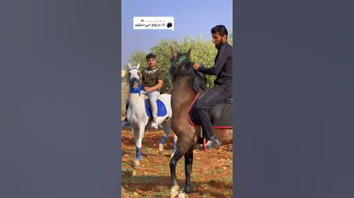الاصيل ما بوقع خيالو 😍🐴 #خيل_العربي_الاصيل
