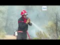 Euronews in Cotignac: How a historic French village survived a night of wildfire