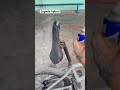 How to pimp your bike