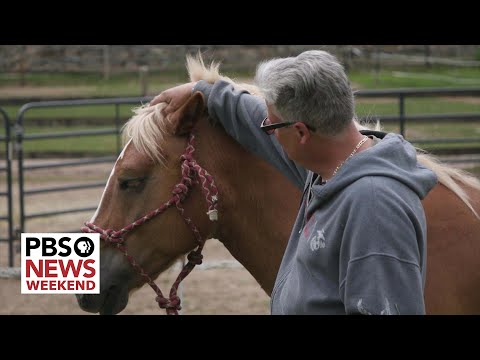 In Connecticut, these horses are helping veterans cope with the trauma of combat Episode cover