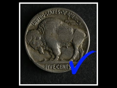 Buffalo Nickel | Beginner Coin Collecting Series #5