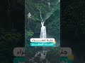 جنة خضراء تحت المطر في الهند