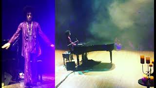 Prince - Strange Relationship / Unchain My Heart (Ray Charles) / Free (Live In Sydney, 2016)