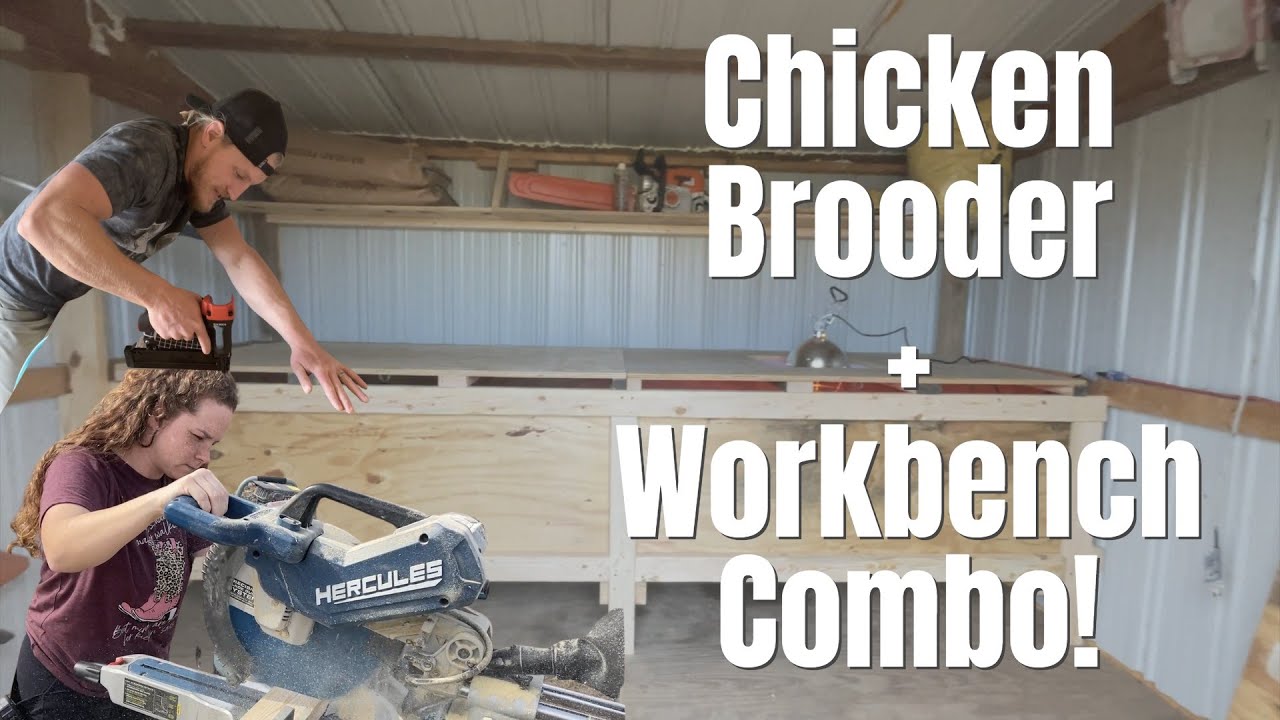 DIY chicken brooder build! - YouTube