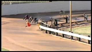 Temor-PT-06032016-Race-1