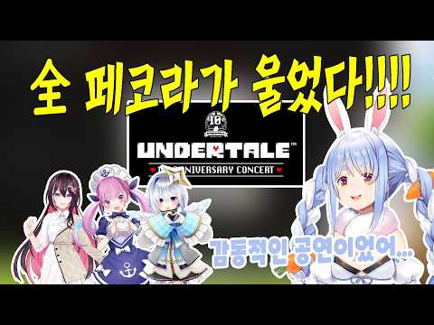 타카오산 멤버 + 카나타로 콘서트 보고 온 이야기 [홀로라이브 / 우사다 페코라]
