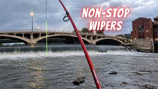 Can I Catch the Spillway Slam? (Wipers, Walleye and Flatheads) @BackroadsAngling