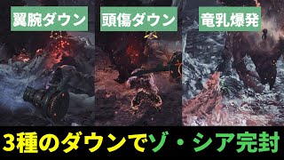 [MHWilds] How to defeat it using 3 types of knockdowns! Explanation of High Rank Zo'Shia's specif...